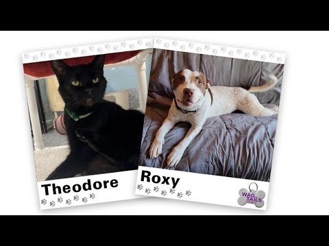 WAGNER TAILS: Theodore and Roxy