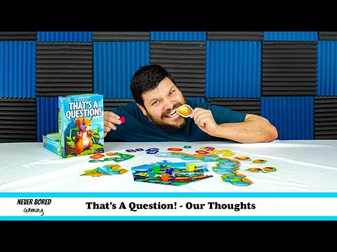 Never Bored Gaming | Our Thoughts | That's A Question!