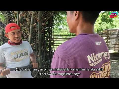 Buluden Ni Berto Ay Nowang Ni Masong