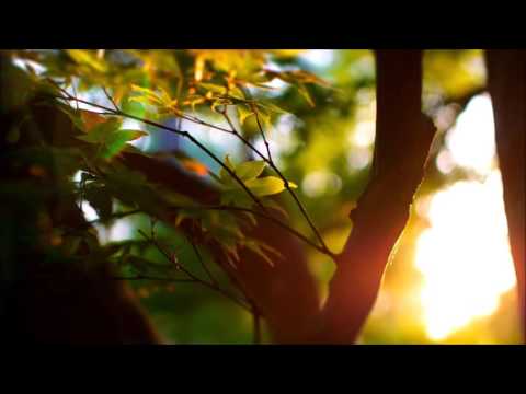 Diversion ft. Tania Zygar - Bright Lights