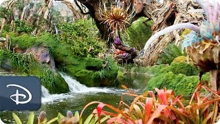 Populating Pandora - The World of Avatar With Plants & Animals