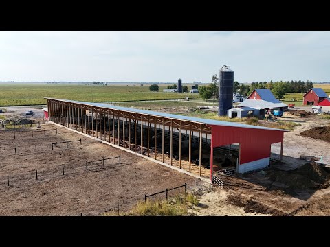 Innovative Cattle Barn Monoslope Design by 1Source Construction: See It in Action