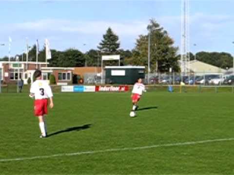 huizen - valleivogels