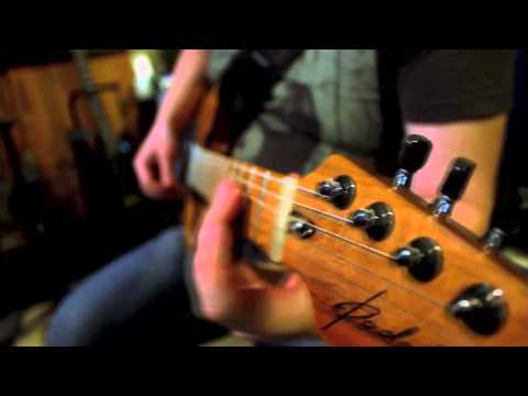 PADALKA GUITARS vs. PRS