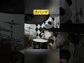 Panda on Peter Erskine
