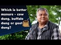 Which Is Better Manure Cow Dung Buffalo Dung Or Goat Dung