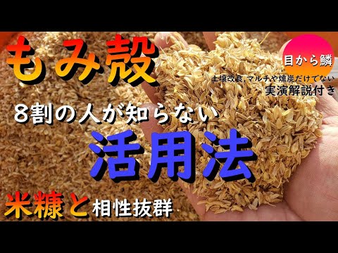 クルミには毒性があるのでしょうか？落ち葉を堆肥に入れてもいいですか？  庭園