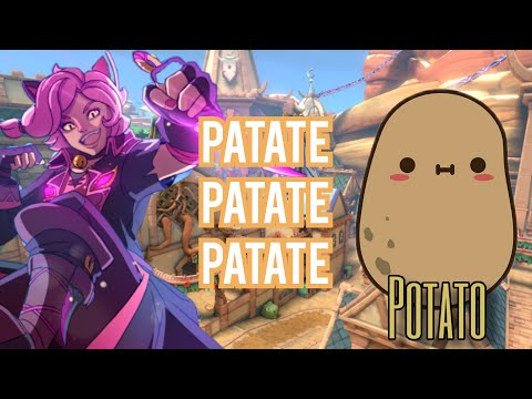 OCCHIO ALLE PATATE - Paladins Ita
