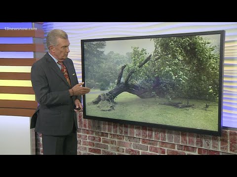 Elsa Aftermath: Some damage across Hampton Roads