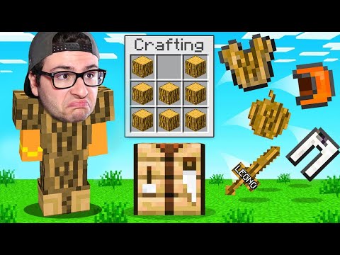 LA NUOVA ARMATURA DI LEGNO DA PAZZO ! - Minecraft