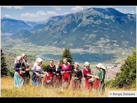 Dani Borovnice 2017. Plav. Montenegro. PROMO-MONTENEGRO production 2017