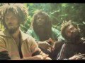 The Congos-The Wrong Thing