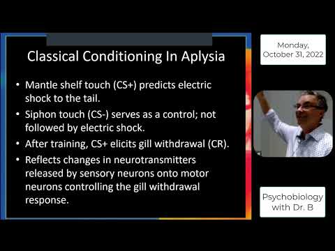 PSYC 2070 Chapter 12 Part 2 (Aplysia and LTP)