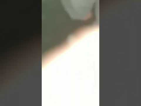 BS vs KPJ «semifinal»