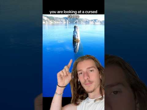 The Cursed Stump of Crater Lake