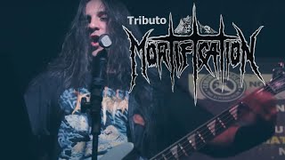 Voices of Heaven: Tributo ao Mortification