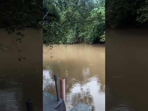 Rios dos Bois muita água rio muito cheio !