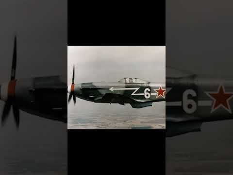 Yak-1: USSR's most important fighter? #ww2 #planes