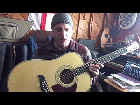 Обзор акустической гитары Oscar Schmidt OG2