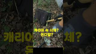 Download lagu A body in a suitcase? A stack of cash? Would you open it? Shocking true story revealed. mp3 Download lagu A body in a suitcase? A stack of cash? Would you open it? Shocking true story revealed. mp3