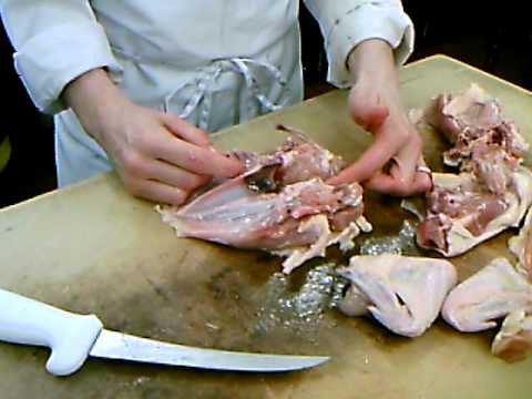 download lagu mp3 mp4 Oyster Cut Chicken Leg, download lagu Oyster Cut Chicken Leg gratis, unduh video klip Oyster Cut Chicken Leg