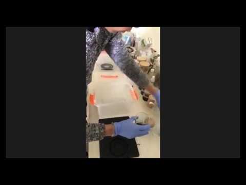 2017 03 11 AM Public Teachings in Chinese - 在中国公众教义