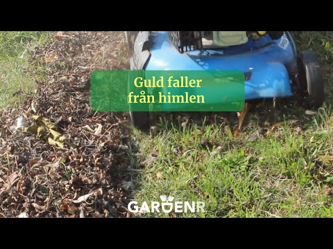 Guld faller från himlen - Trädgårdshacks med GardenR