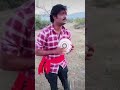 பாடி பறந்த கிளி