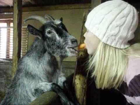 Pihlavan ratsastusriihi 21.10-24.10.2010