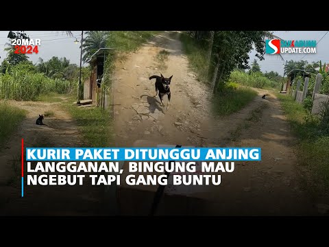 Kurir Paket Ditunggu Anjing Langganan, Bingung Mau Ngebut Tapi Gang Buntu