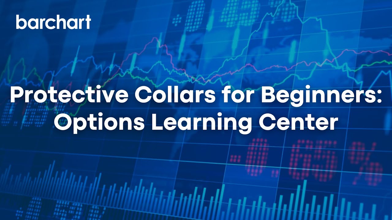 Protective Collars for Beginners: Options Learning Center