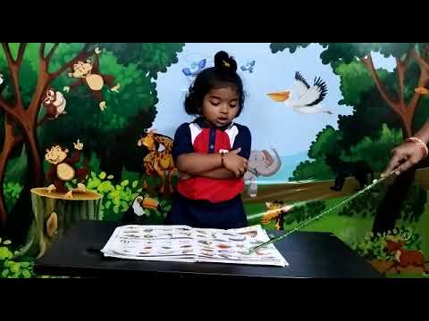 Ch.Ashritha | Sea Animals | Rise Play School | Jagannaickpur, Kakinada.