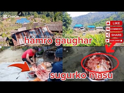 Selrotiko lagi Pitho kutanu jadai hami😍 