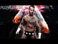 CM Punk Theme - Cult Of Personality (Arena ...