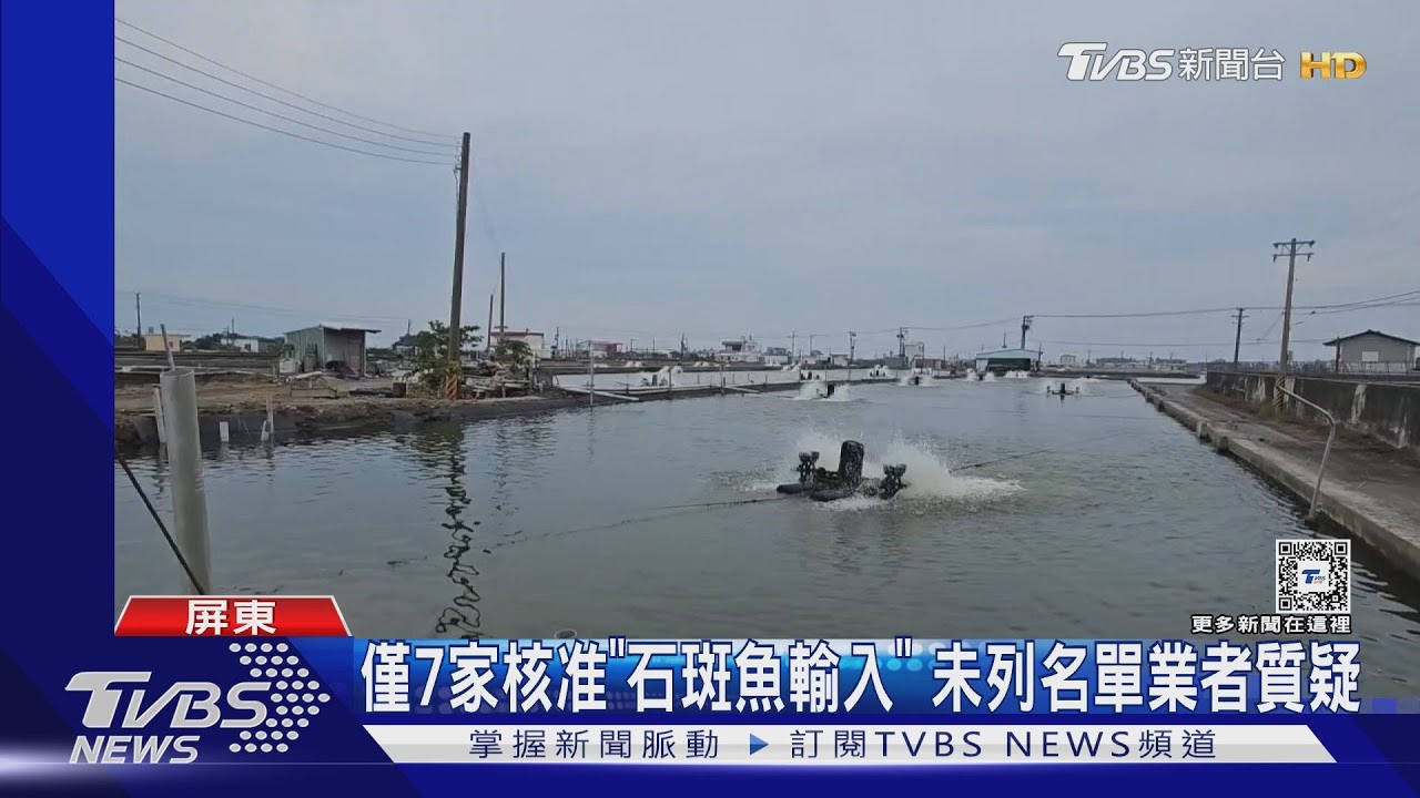 僅7家解禁「石斑魚輸陸」 未列名單業者質疑:有政治因素?