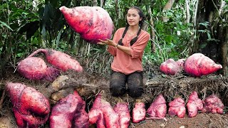 Harvesting CHINESE YAM, Harvesting TURMERIC...Goes To The Market Sell - Making garden / Cooking