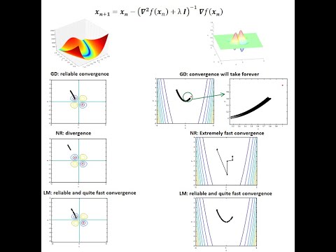 Levenberg-Marquardt Algorithm