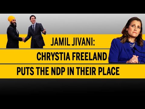 Jamil Jivani Chrystia Freeland Puts The Ndp In Their Place