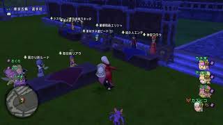 ドラクエ10　2020/12/27（日）　カジノ・週課など　※ネタばれ注意