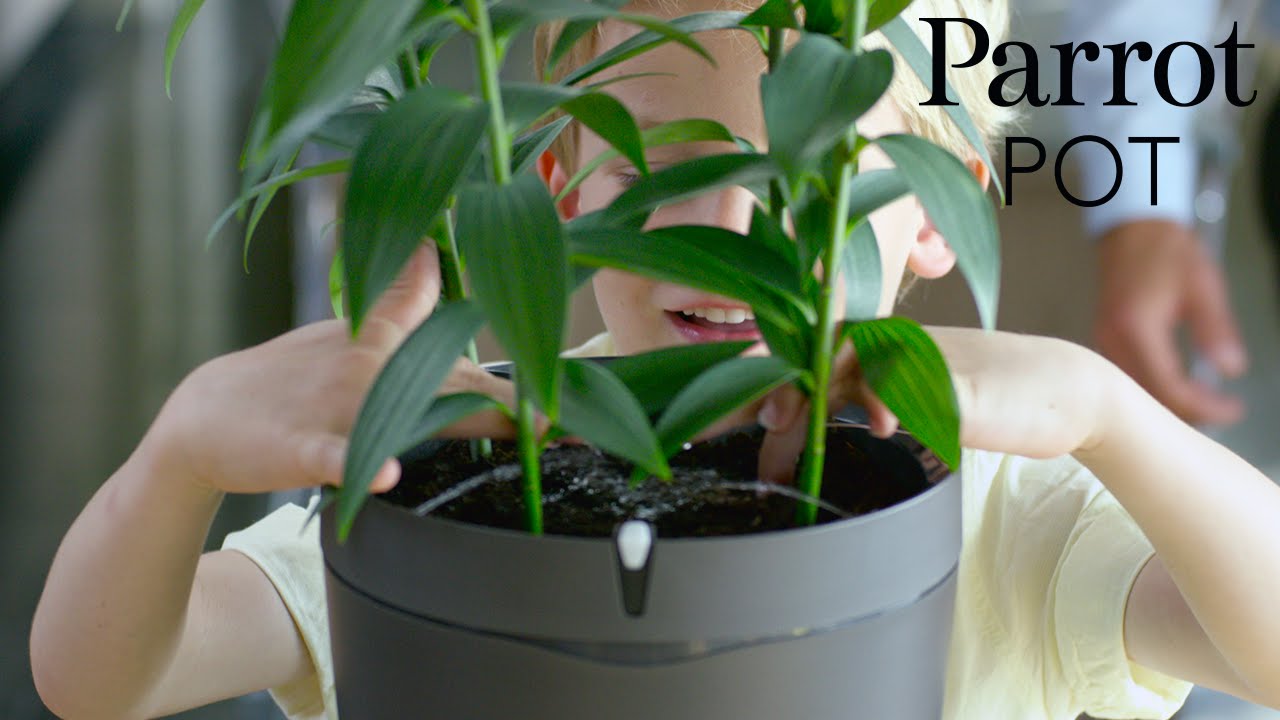 Умный горшок Parrot Pot (Slate Black) PF901010 video preview