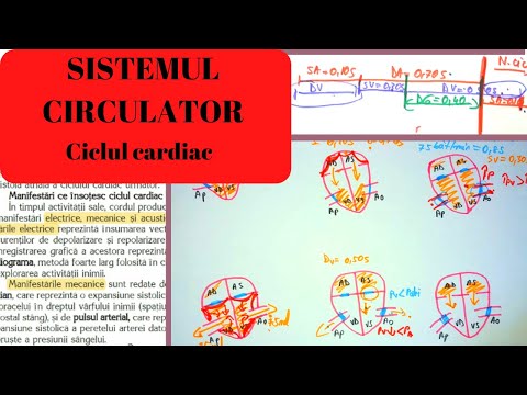 MEDICINE ADMISSION: CIRCULATORY SYSTEM 6: The Heart Part II - The Cardiac Cycle