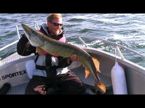 Technikinfo SPORTEX Carat Z Rute