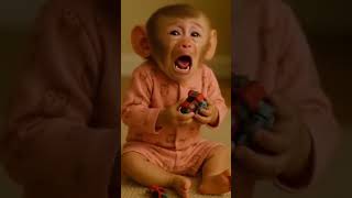 Download lagu Wajib Tonton 'Monyet Menangis' | Video AI #ai #monyet #hewan #shorts mp3