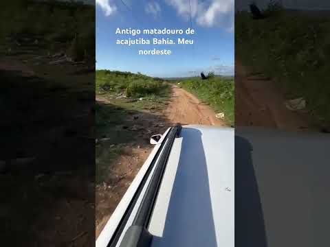 Antigo matadouro de acajutiba Bahia. Meu nordeste