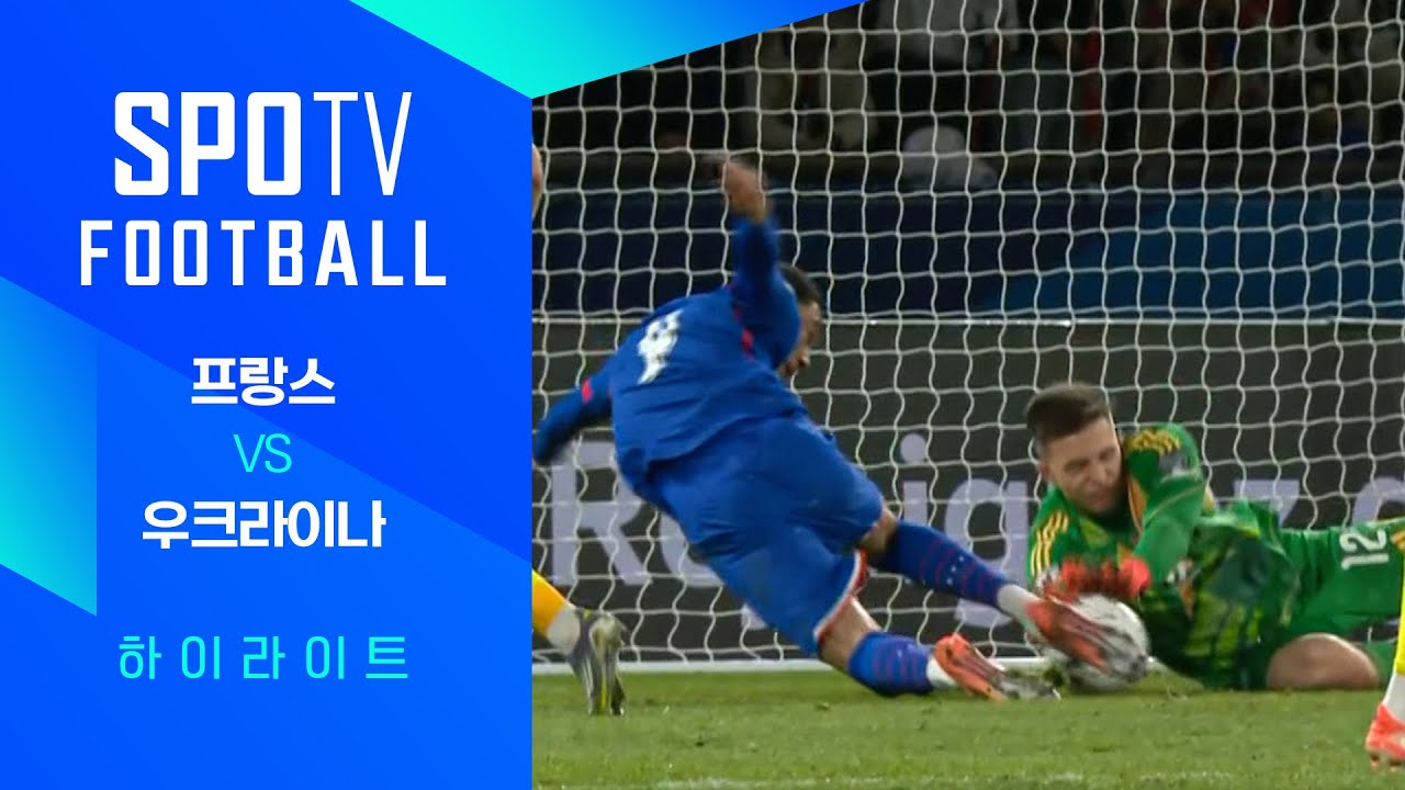 [월드컵 유럽 예선] 프랑스 vs 우크라이나ㅣ3분 하이라이트 (11.14)