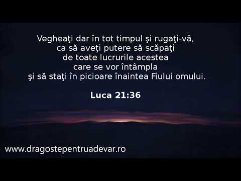 Frații Fedur - Veghează-n zori