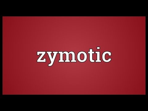 Zymotic Meaning