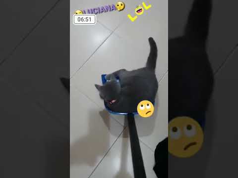 Luciana in the house 2