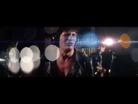 Herman Brood - rock & roll junkie