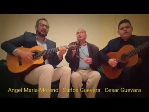 POTRERILLO - BOVEA Y SUS VALLENATOS ( CANTA CARLOS GUEVARA)
